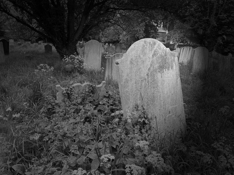 a graveyard at night